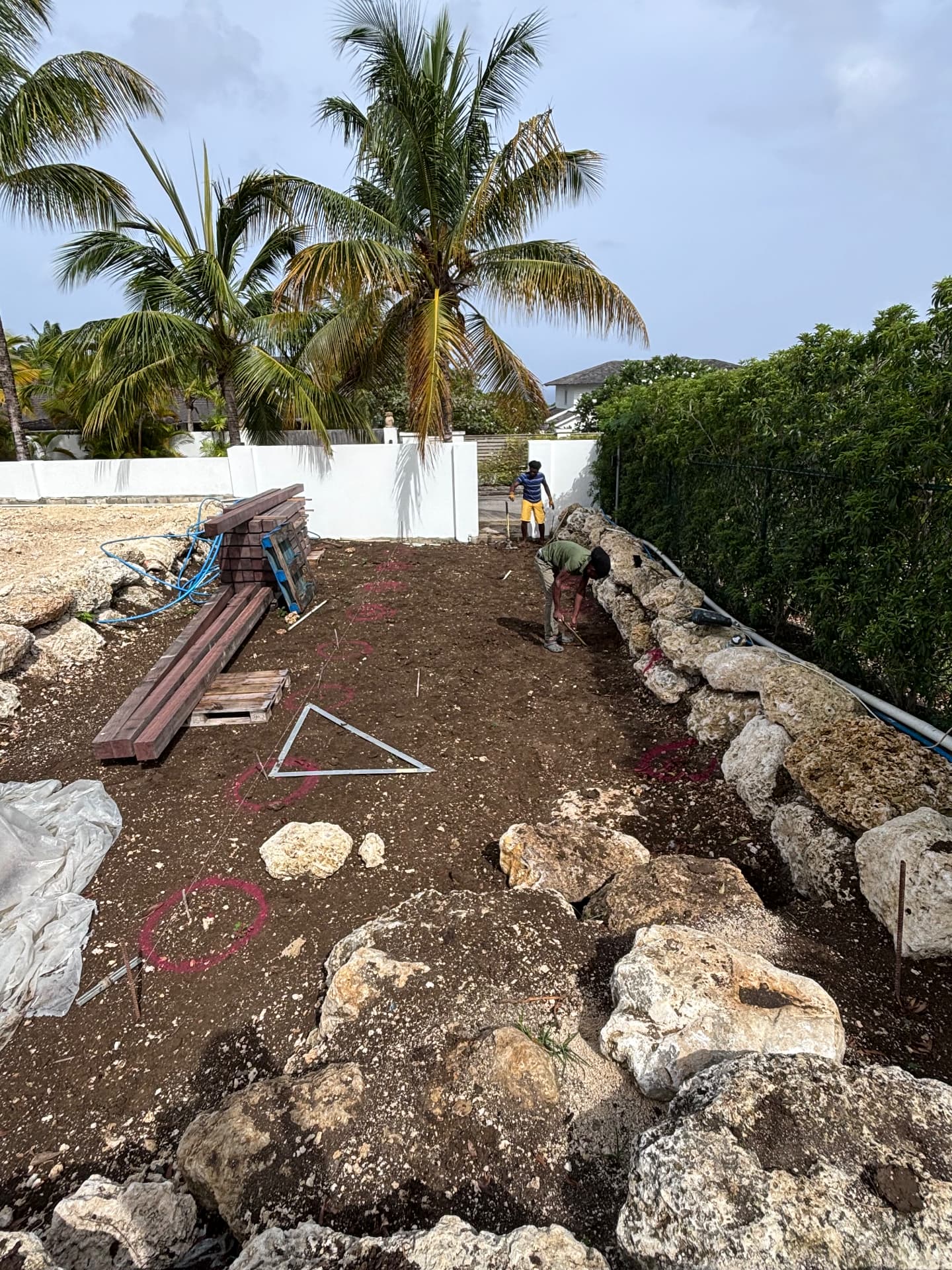 Setting out planting positions on the coral stone terrace under coconut palms