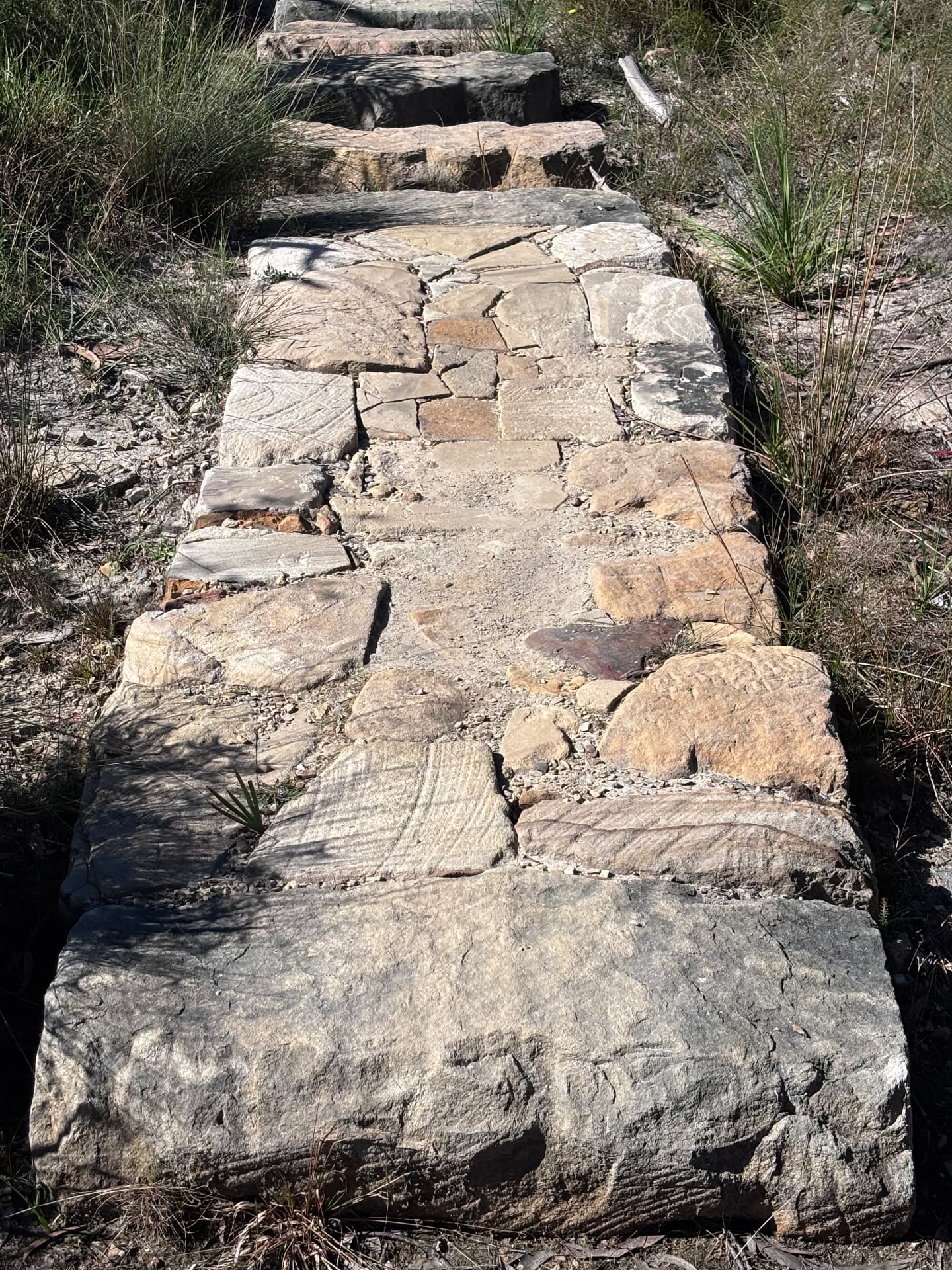 Sandstone stepped path with mortared flag joints climbing through native bush