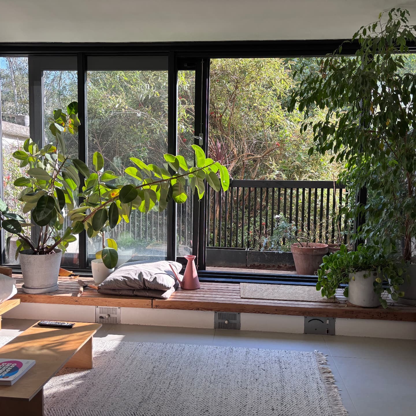 Sunlit living room at Rowley Way opening onto a planted balcony garden with blackened timber joinery