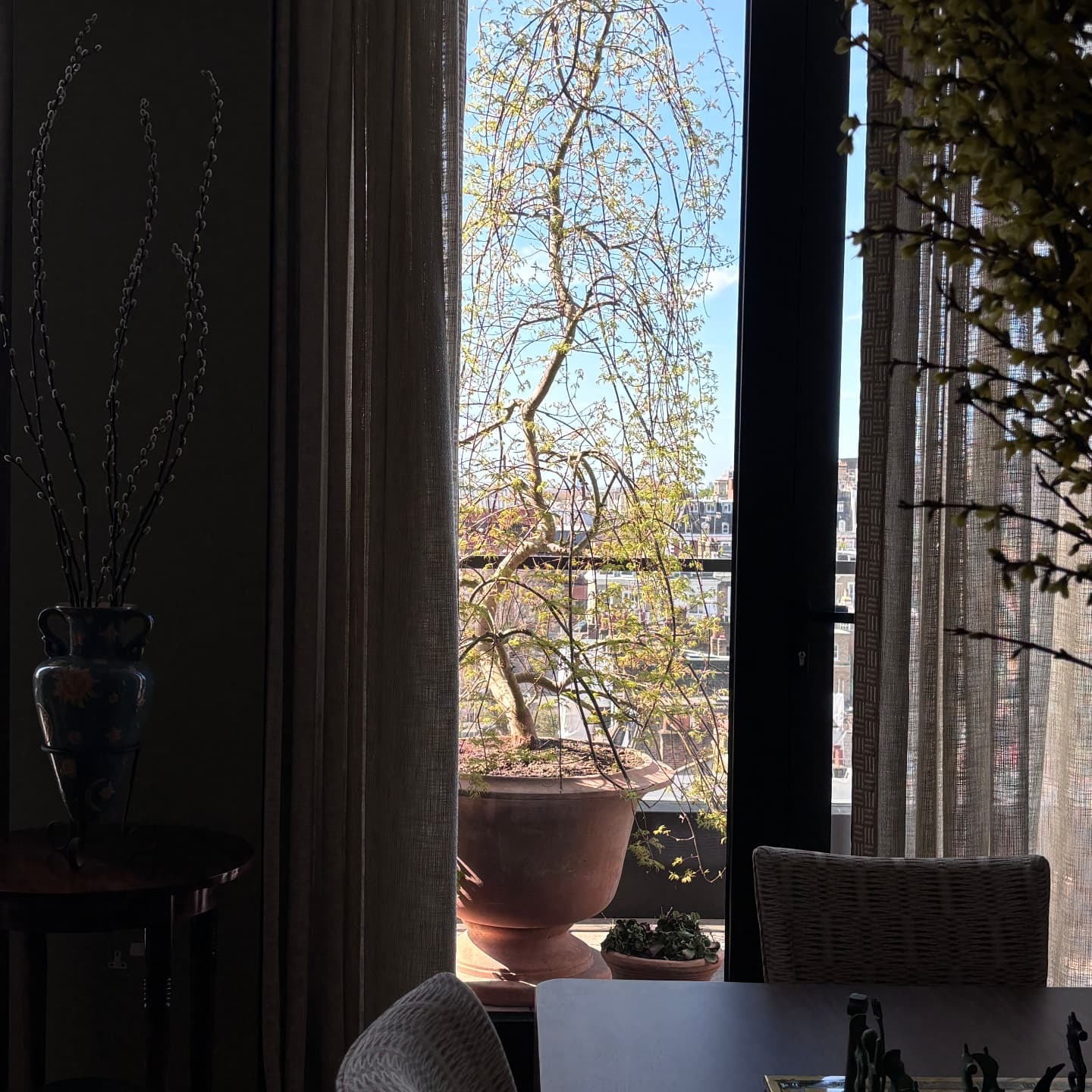 Container garden design on a Kensington High St balcony: potted weeping tree in terracotta seen from the dining room